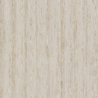 Dutch First Class Textura (Met Gratis Lijm*) 66152
