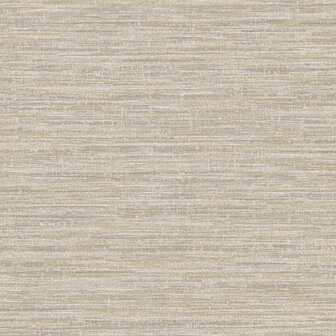 Dutch First Class Textura (Met Gratis Lijm*) 66200