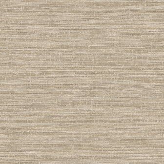 Dutch First Class Textura (Met Gratis Lijm*) 66201
