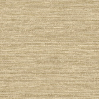 Dutch First Class Textura (Met Gratis Lijm*) 66204
