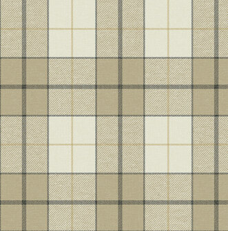 Dutch First Class Sauvage 2 (Met Gratis Lijm*) KT40005