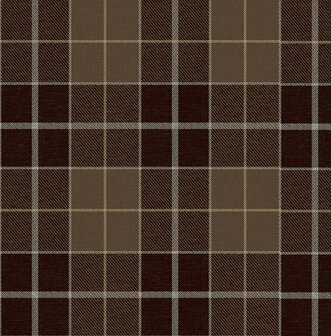 Dutch First Class Sauvage 2 (Met Gratis Lijm*) KT40006