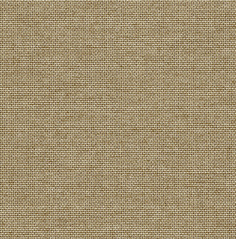 Dutch First Class Sauvage 2 (Met Gratis Lijm*) KT40106