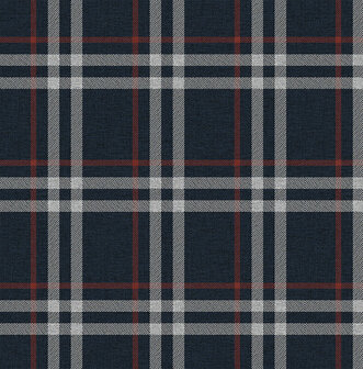 Dutch First Class Sauvage 2 (Met Gratis Lijm*) KT40712