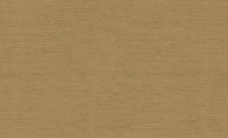Dutch First Class Voyage (Met Gratis Lijm*) DB73743