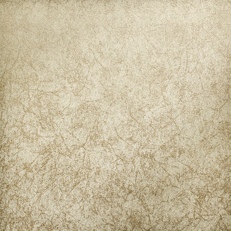 Hohenberger Wallcoverings Slow Living 64655-HTM