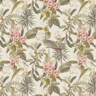 Dutch First Class Designology (*Met Gratis Lijm!) DE01700 - Multicolours