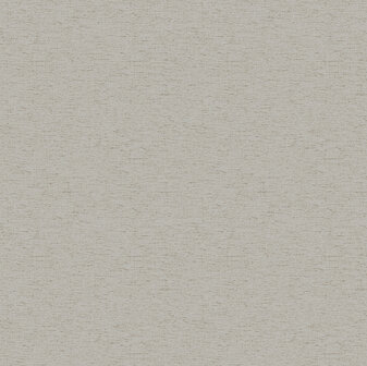 Dutch First Class Designology (*Met Gratis Lijm!) DE01704 - Beige