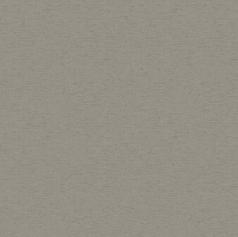 Dutch First Class Designology (*Met Gratis Lijm!) DE01707 - Grijs