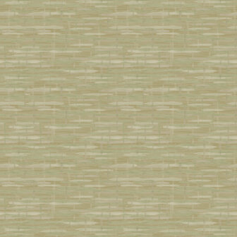 Dutch First Class Designology (*Met Gratis Lijm!) DE01727 - Groen