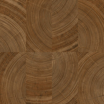 Dutch Wallcoverings Karuna A69101 - Bruin
