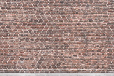 Bor&aring;stapeter Studio Brick Wall 9410W
