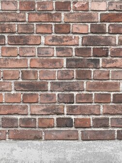 Bor&aring;stapeter Studio Brick Wall 9410W