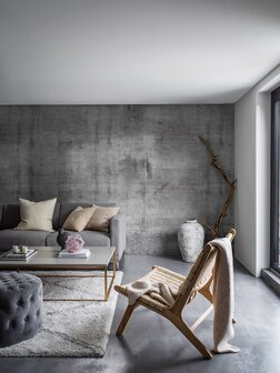 Bor&aring;stapeter Studio Concrete Wall 9415W