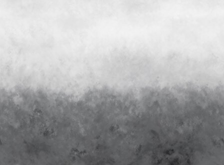 Bor&aring;stapeter Studio Gradient Painting 9422W