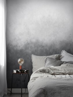 Bor&aring;stapeter Studio Gradient Painting 9422W