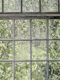 Bor&aring;stapeter Studio Greenhouse 9424W