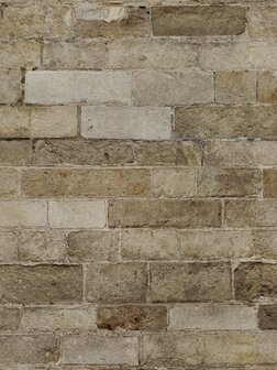 Bor&aring;stapeter Studio Limestone Brick 9430W