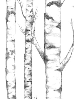 Bor&aring;stapeter Studio Tree 9451W