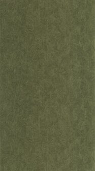 Casadeco Vegetals (*Met Gratis Lijm!) VEGE201277777 - Groen