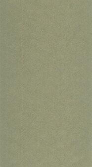 Casadeco Vegetals (*Met Gratis Lijm!) VEGE201287373 - Groen