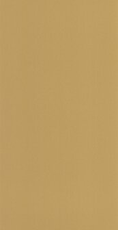 Casadeco Moulures &amp; Co (*Met Gratis Lijm!) MOCO200332424 - Geel