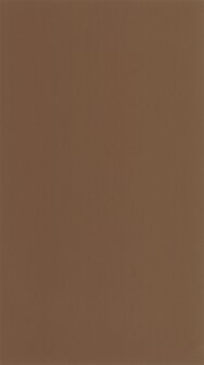 Casadeco Moulures &amp; Co (*Met Gratis Lijm!) MOCO200332909 - Bruin