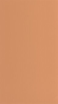 Casadeco Moulures &amp; Co (*Met Gratis Lijm!) MOCO200333320 - Oranje