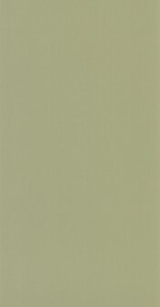 Casadeco Moulures &amp; Co (*Met Gratis Lijm!) MOCO200337337 - Groen
