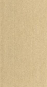 Caselio Borneo (*Met Gratis Lijm!) BORN106011370 - Beige