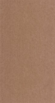 Caselio Borneo (*Met Gratis Lijm!) BORN106012450 - Bruin