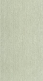Caselio Borneo (*Met Gratis Lijm!) BORN106017004 - Groen