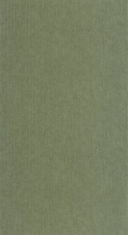 Caselio Borneo (*Met Gratis Lijm!) BORN106017230 - Groen