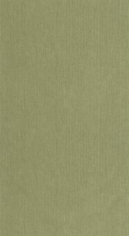 Caselio Borneo (*Met Gratis Lijm!) BORN106017450 - Groen