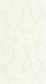 Caselio Borneo (*Met Gratis Lijm!) BORN106507050 - Groen