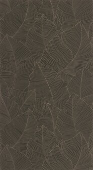 Caselio Borneo (*Met Gratis Lijm!) BORN106509027 - Bruin