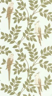 Caselio Borneo (*Met Gratis Lijm!) BORN106527162 - Groen