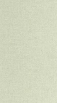 Caselio Jute 2 (*Met Gratis Lijm!) JUT104017010 - Groen