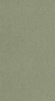 Caselio Jute 2 (*Met Gratis Lijm!) JUT104017650 - Groen