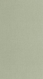 Caselio Jute 2 (*Met Gratis Lijm!) JUT104017769 - Groen