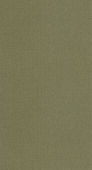 Caselio Jute 2 (*Met Gratis Lijm!) JUT104017833 - Groen