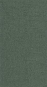 Caselio Jute 2 (*Met Gratis Lijm!) JUT104017850 - Groen