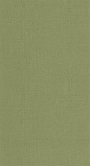 Caselio Jute 2 (*Met Gratis Lijm!) JUT104017951 - Groen