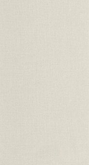 Caselio Jute 2 (*Met Gratis Lijm!) JUT104019620 - Grijs