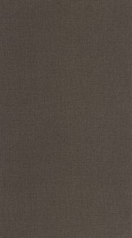 Caselio Jute 2 (*Met Gratis Lijm!) JUT104019910 - Grijs