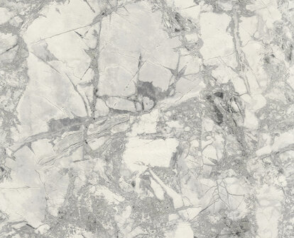 Dutch First Class Carrara 4 (*Met Gratis Lijm!) 45086625 Wit / Grijs 