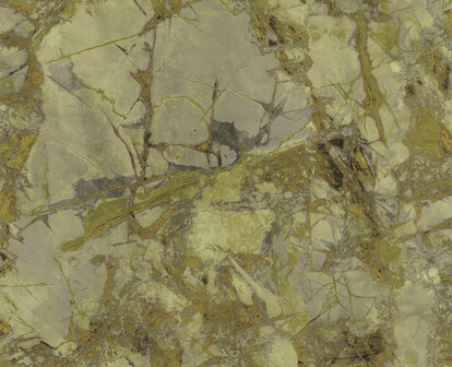 Dutch First Class Carrara 4 (*Met Gratis Lijm!) 45086628 Groen / Beige 