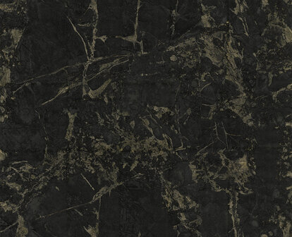Dutch First Class Carrara 4 (*Met Gratis Lijm!) 45086629 Zwart / Goud