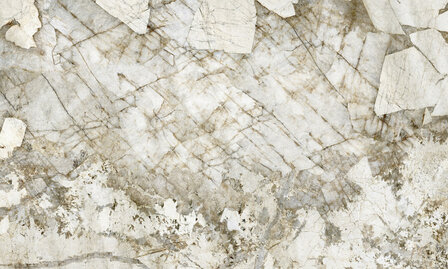 Dutch First Class Carrara 4 (*Met Gratis Lijm!) 45085658 Grijs / Beige 