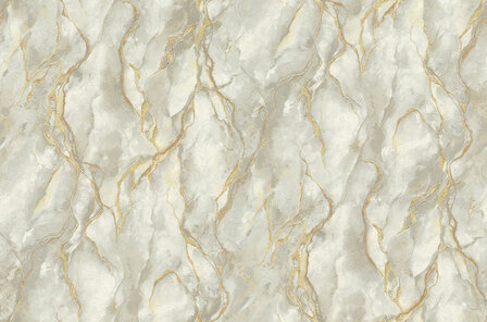 Dutch First Class Carrara 4 (*Met Gratis Lijm!) 45086761 Grijs / Goud 
